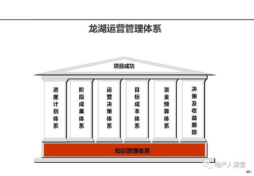 龙湖企业管理与运营精细化管理探析